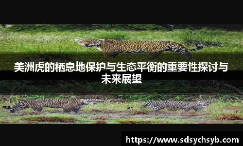 K8凯发在线